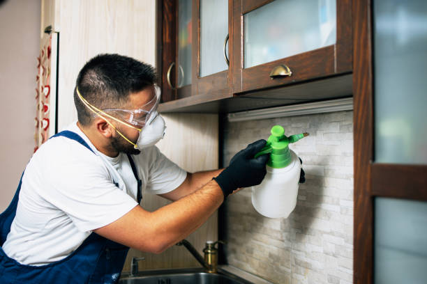 Best Pest Control Near Me  in Helena, AL