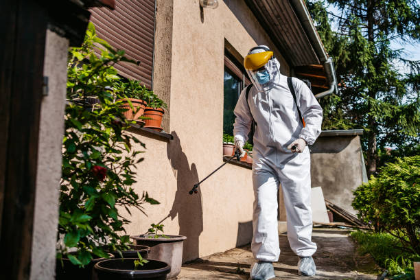 Best Rat Extermination Near Me  in Helena, AL