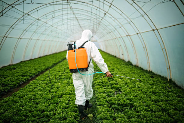 Reliable Helena, AL Pest Control Solutions