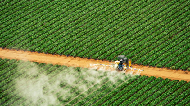 Best Pest Removal Services  in Helena, AL