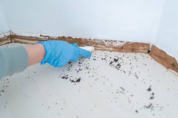 Best Pest Control Near Me  in Helena, AL
